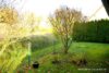 # Einfamilienhaus mit Ausblick ins Grüne, Doppelgarage und tollem Garten! Bezugsfrei! - rückwärtiger Gartenbereich